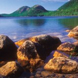 Greener Solutions lake

